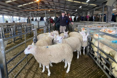 Ruthin-Auction-Christmas-show-and-sale-2021-a